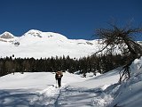 22 Il Ferrante e il Ferrantino in fronte